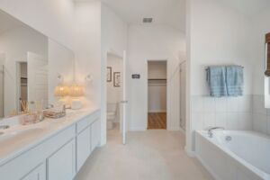Owner's Bathroom