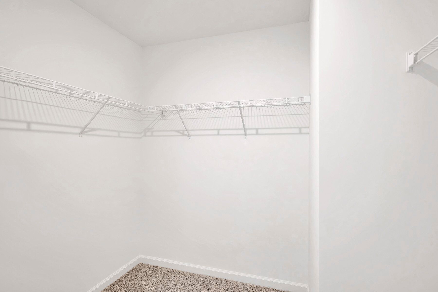 Owner's Closet