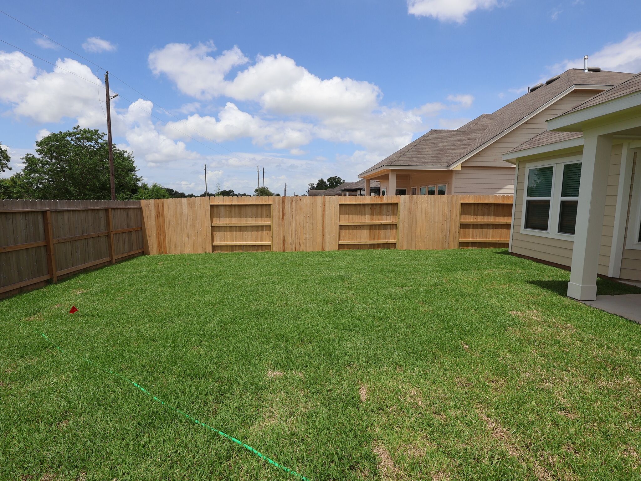 Backyard