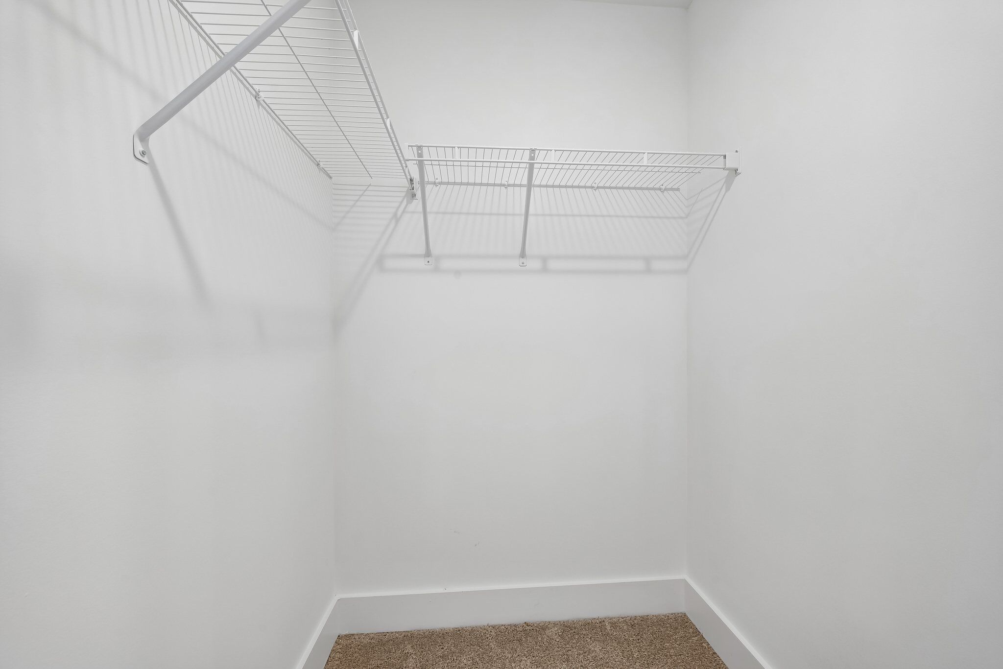 Owner's Closet