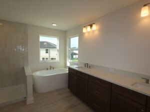 Owner's Bathroom
