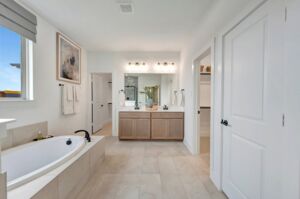 Owner's Bathroom