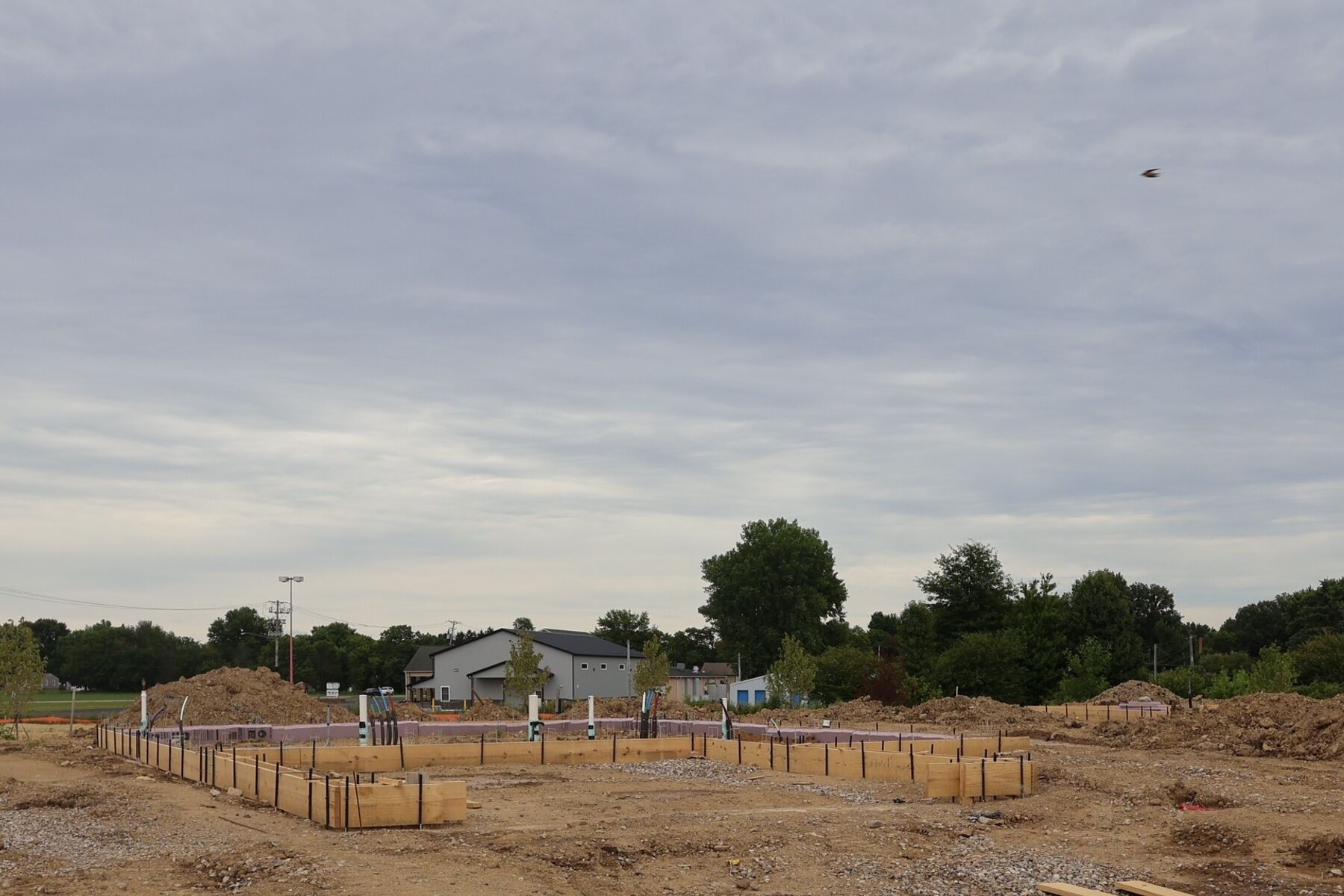 Homesite