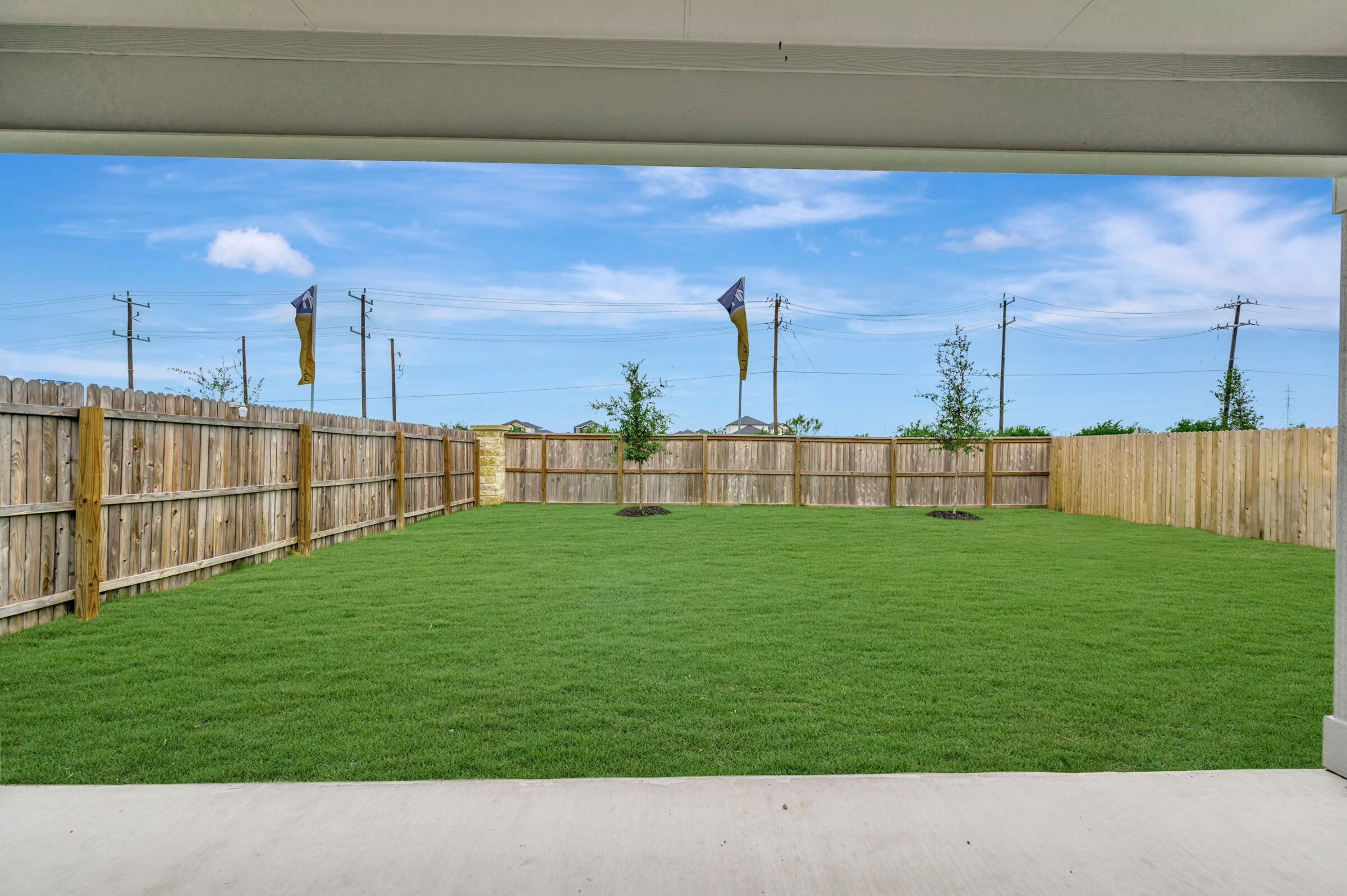 Backyard