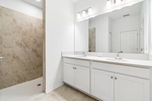 Owner's Bathroom