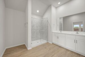 Owner's Bathroom
