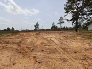 Homesite
