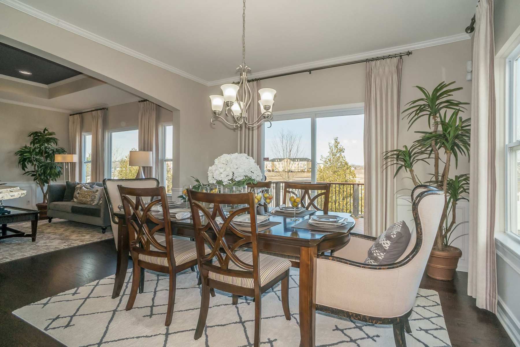 Dining Room With Dark Wood and Houseplants