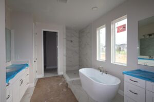Owner's Bathroom