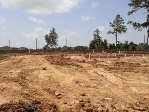 Homesite
