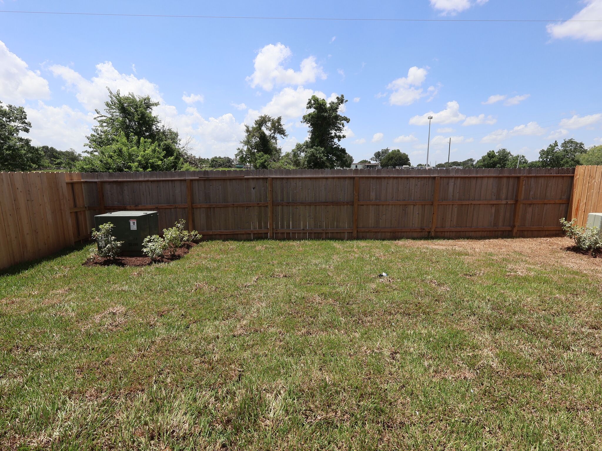 Backyard