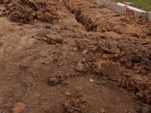 Homesite