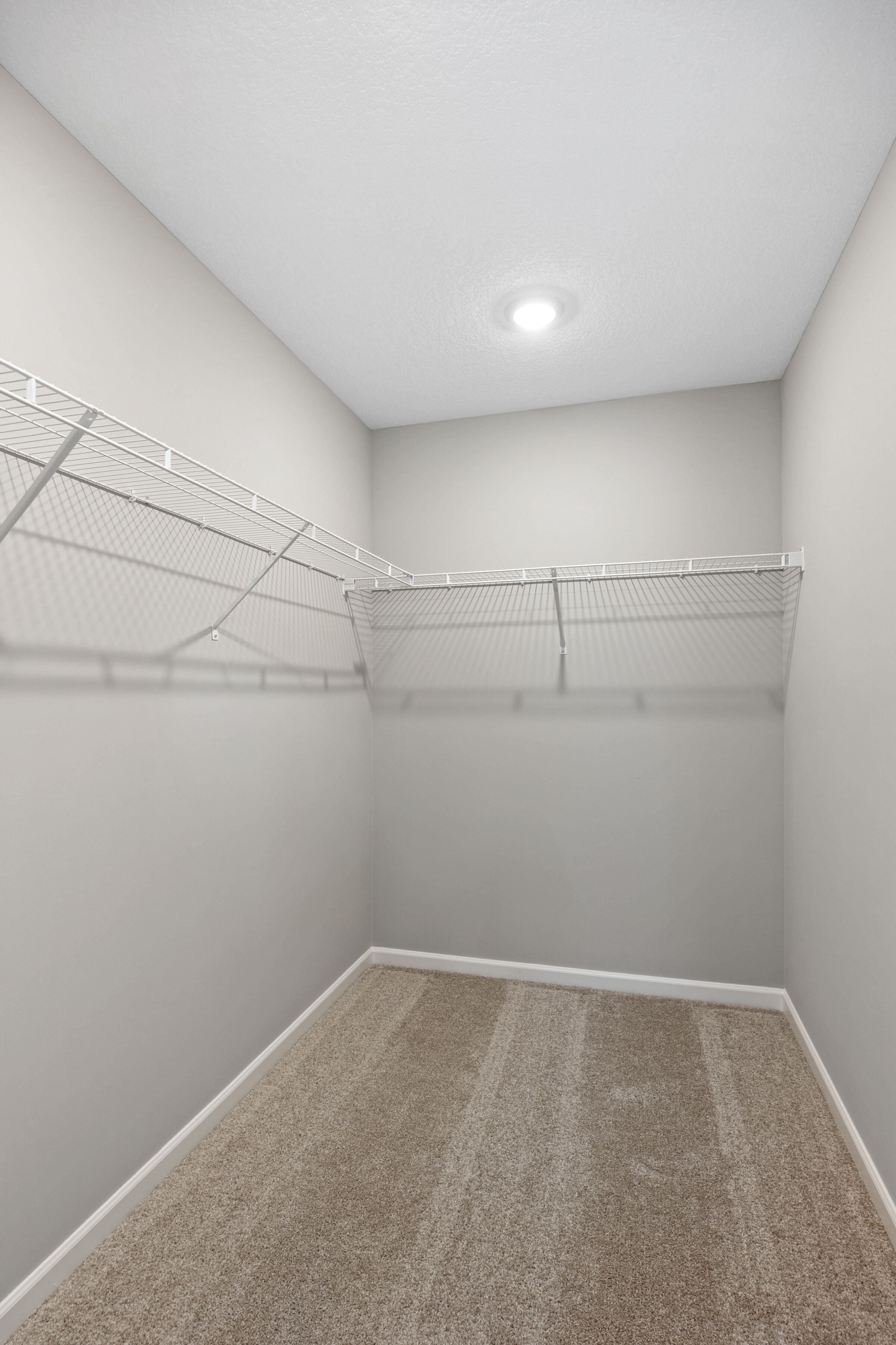 Owner's Closet