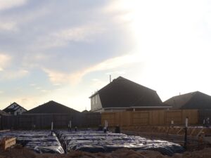 Homesite