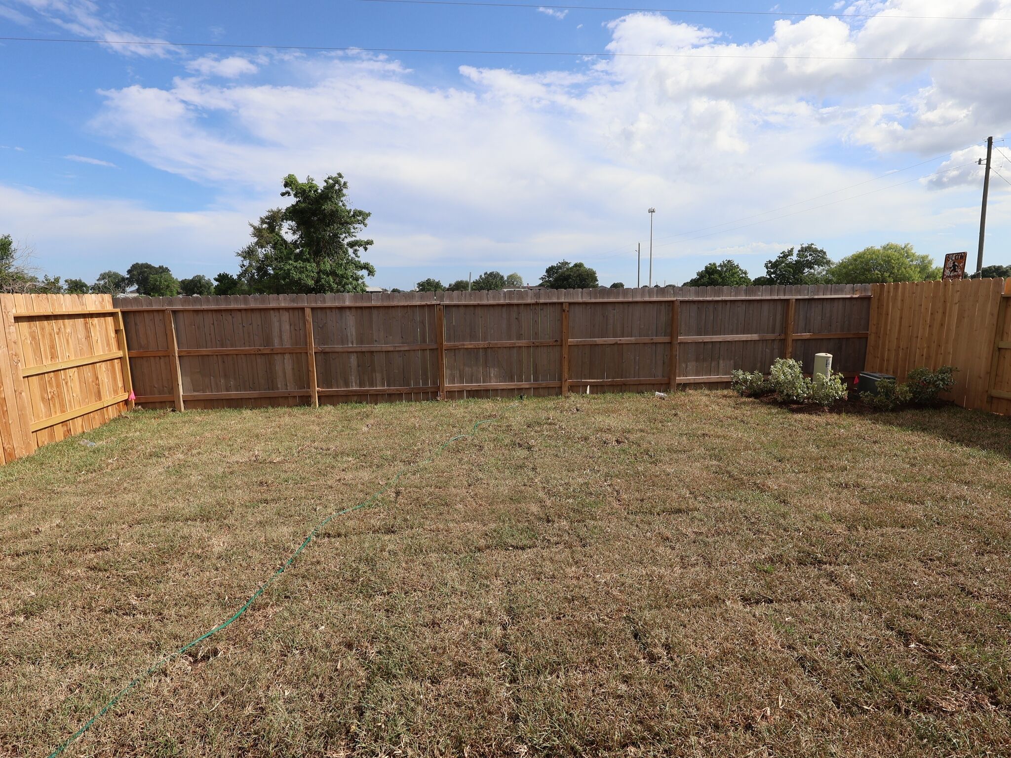 Backyard