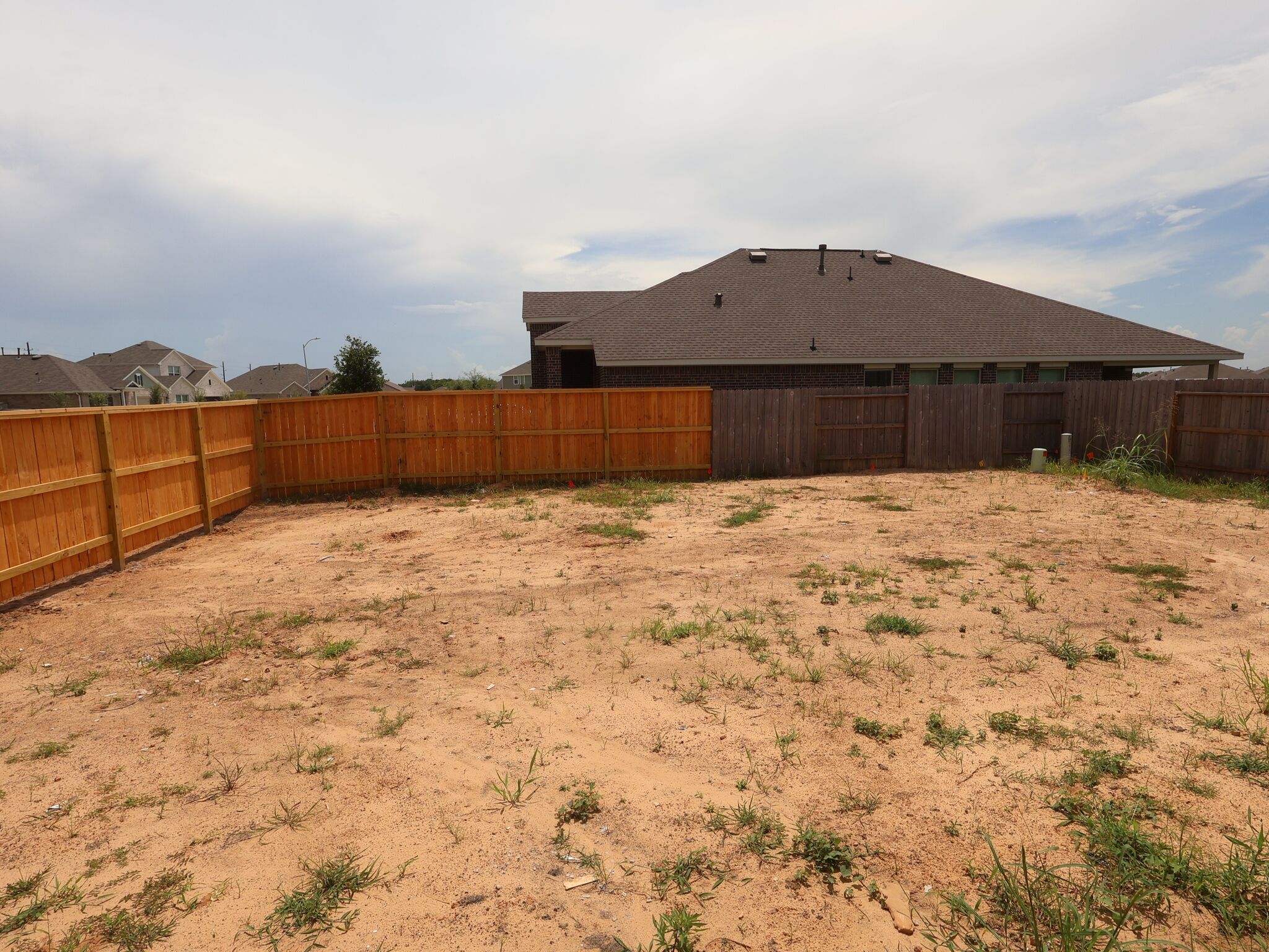 Backyard