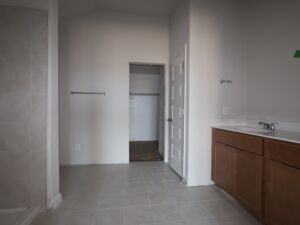 Owner's Bathroom