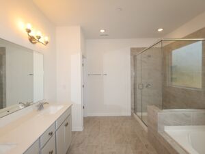 Owner's Bathroom