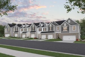 Village at Bledsoe Springs - Streetscape