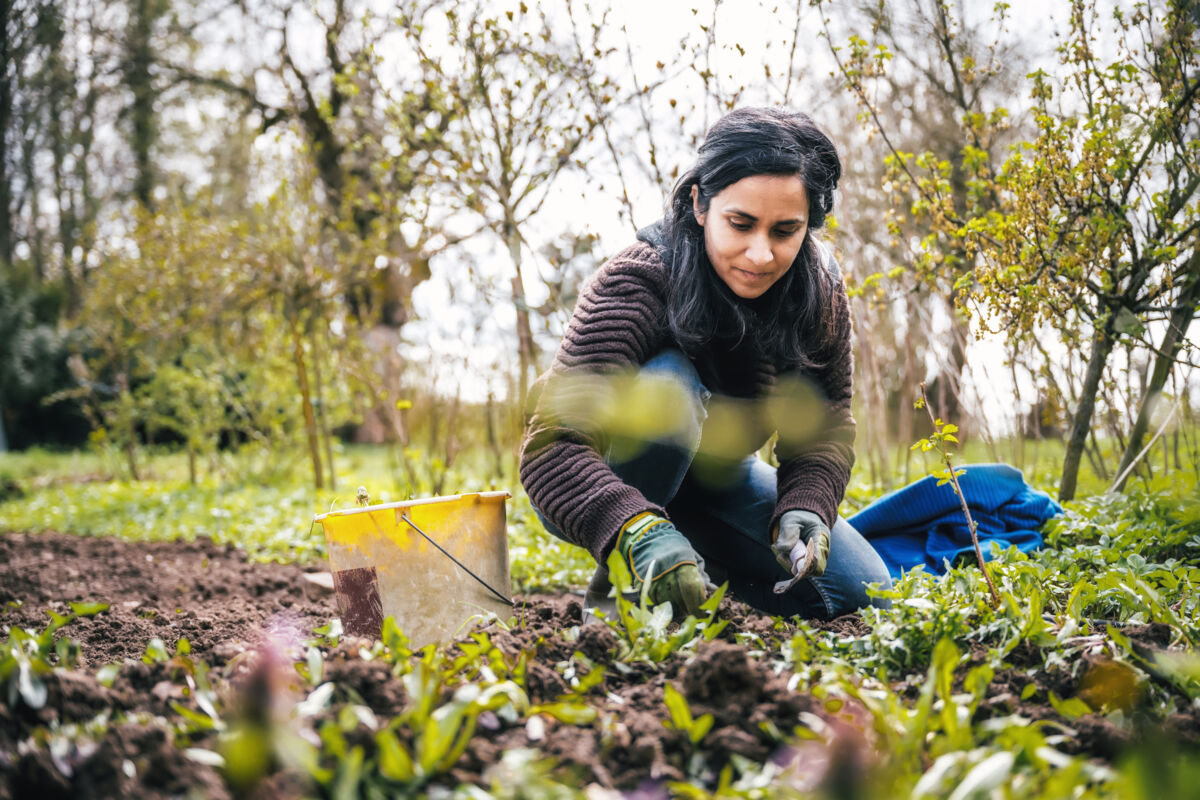 Do These 8 Things to Your Home Garden Before the First Cold Snap