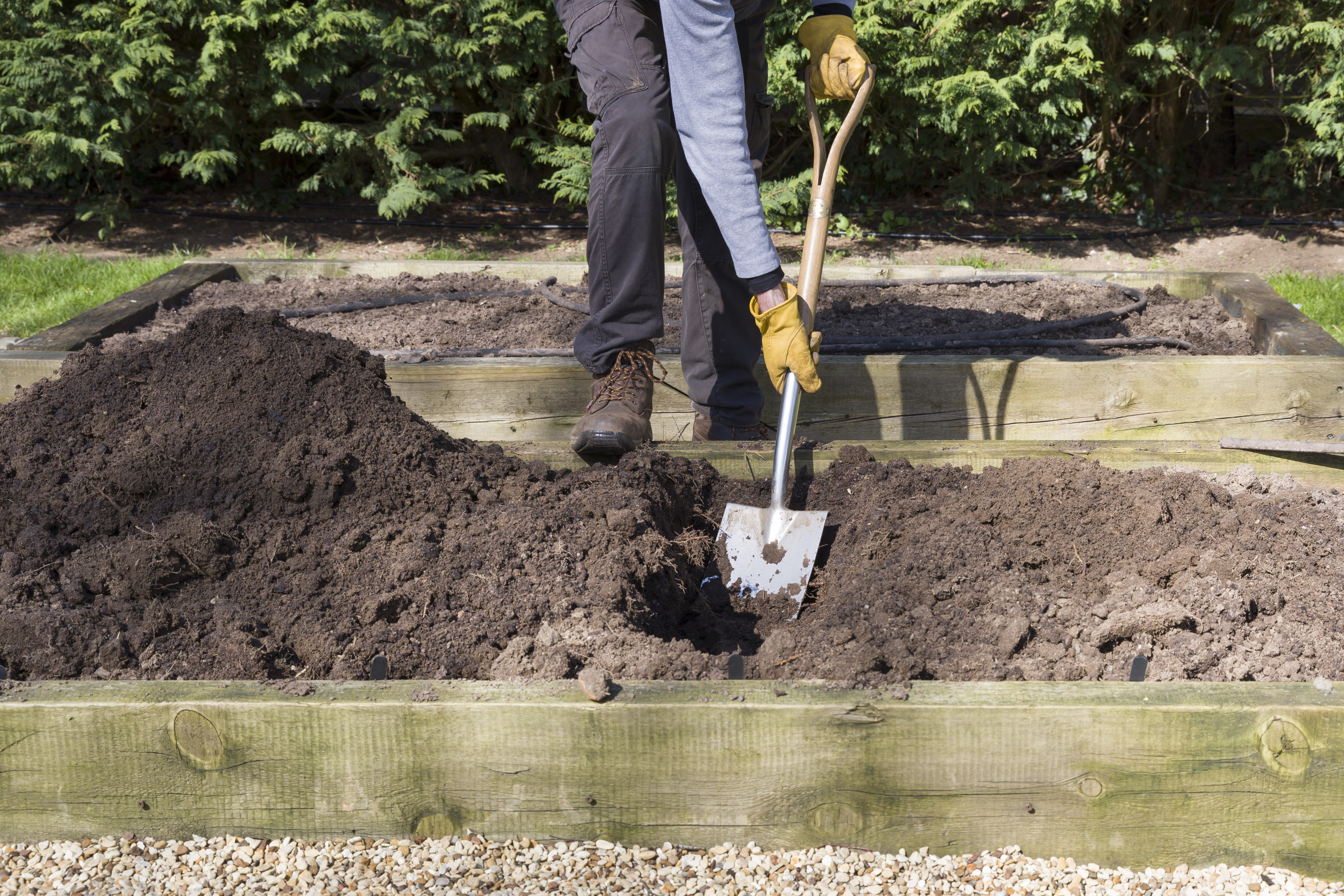 Digging in Garden Bed