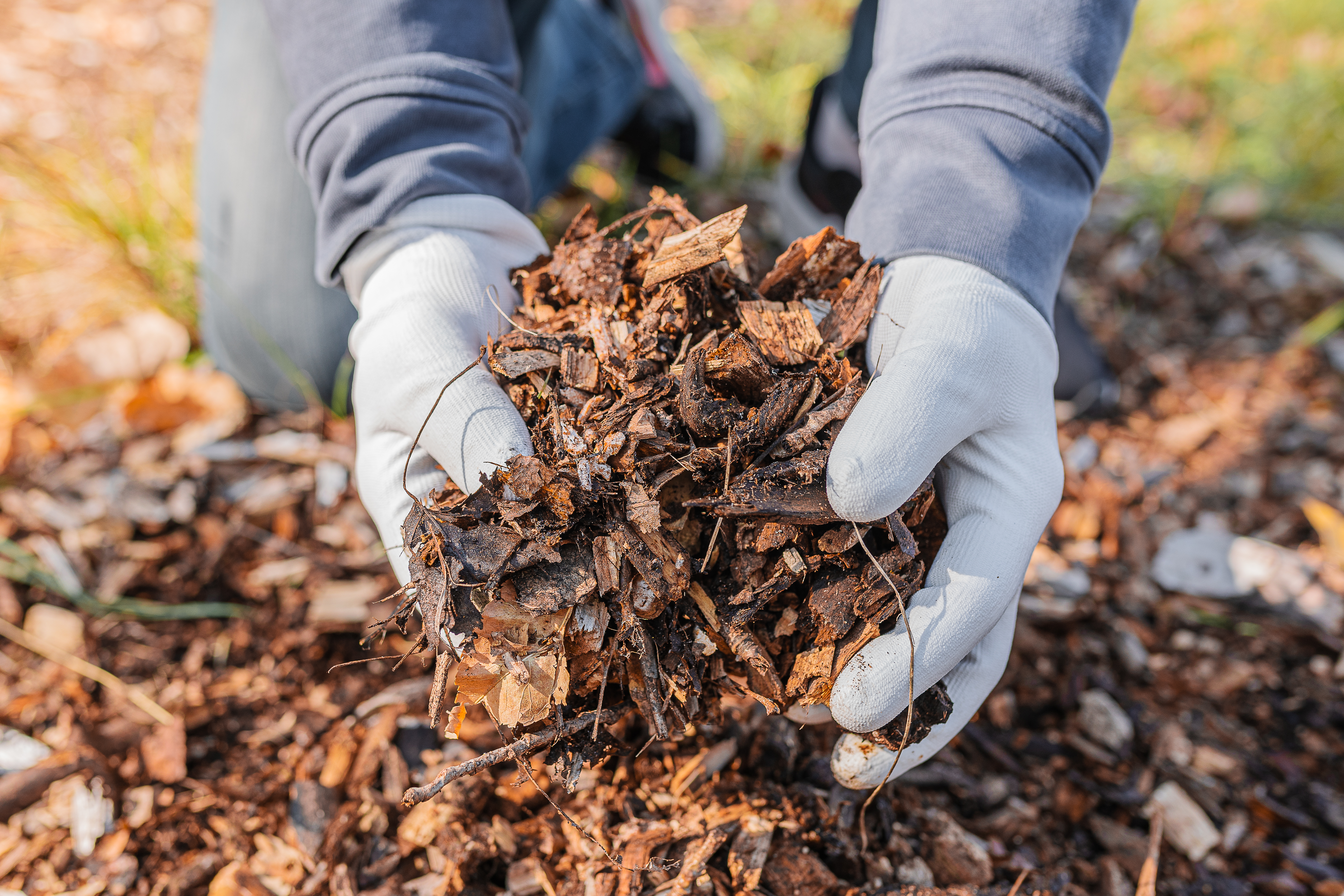 Spreading Compost on Garden Bed