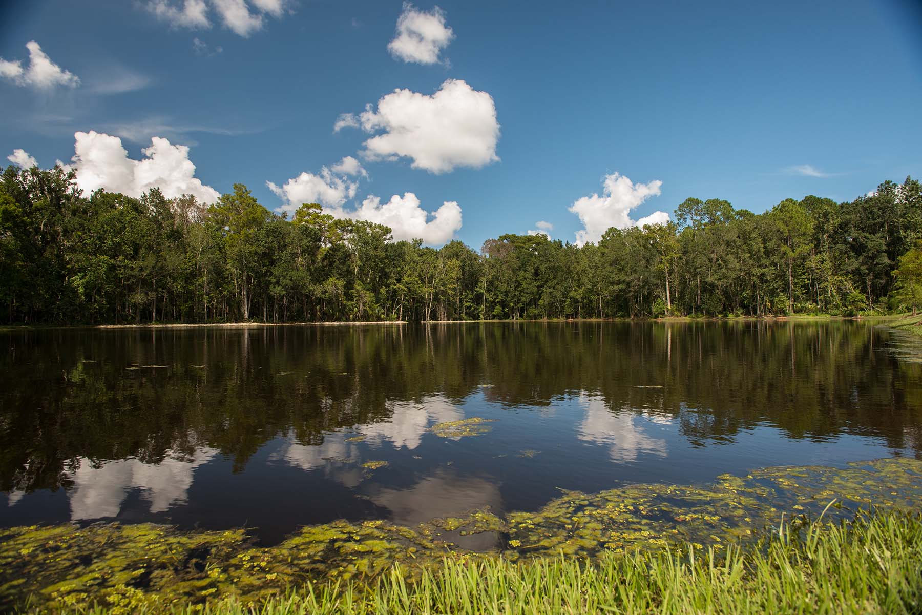 Lake in Orlando, FL