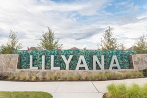 Lilyana Community Entrance