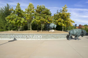 Surrounding Area - Minnesota Zoo