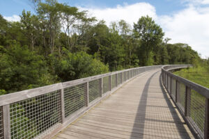 Pine Vail Estates Surrounding Area