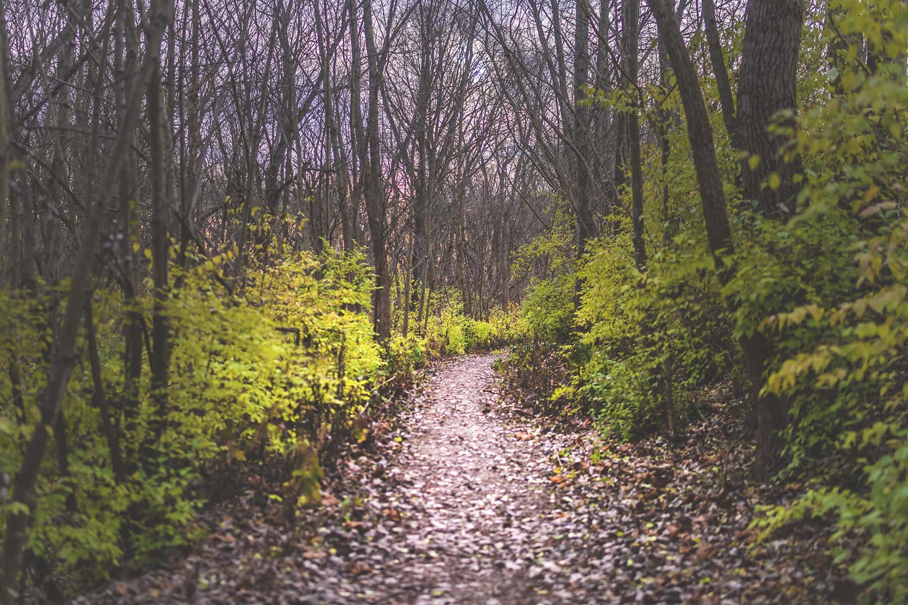 Grove City Homes for Sale Brown's Farm M/I Homes