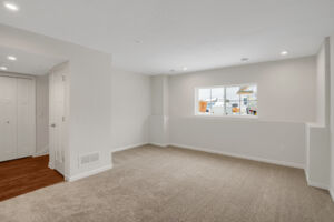 Lower Level Recreation Room