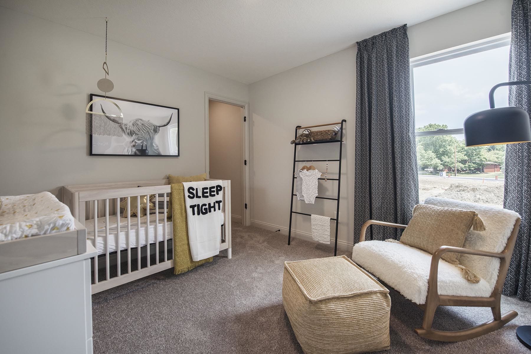 A Nursery With a LongHorn Photograph