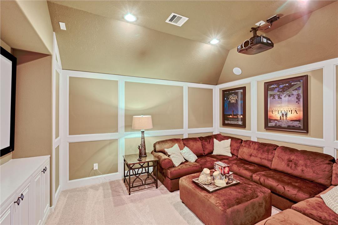 [painted home theater]