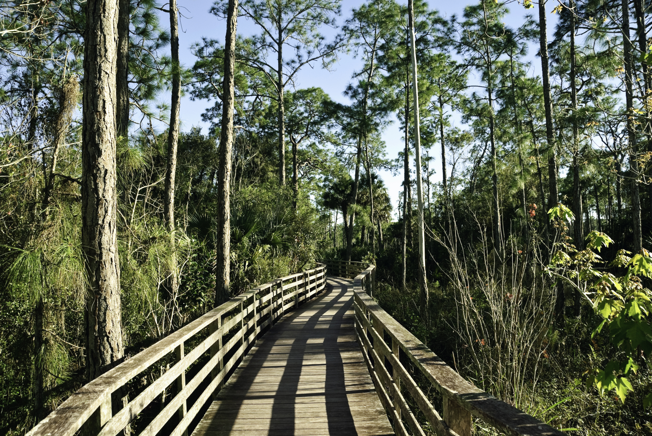 Florida trail