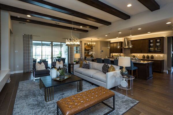 Open-Concept Living Room With Area Rug