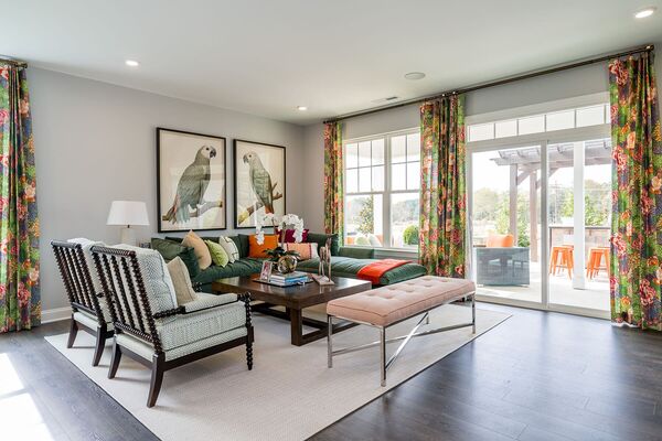 Image of a living room with green patterned curtains and parrot wall art