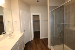 Owner's Bathroom